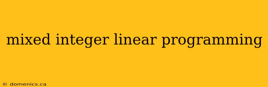 mixed integer linear programming