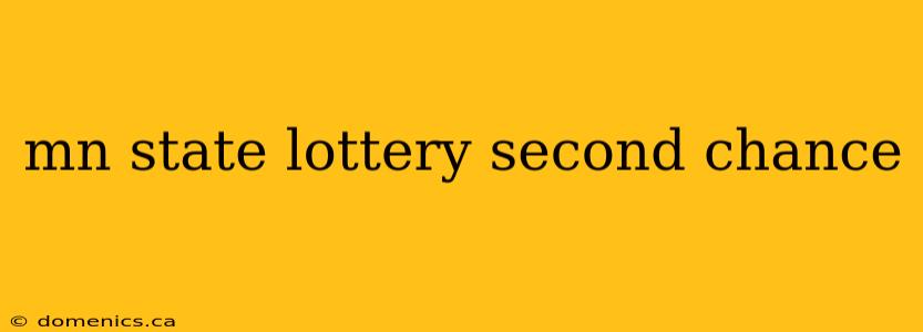 mn state lottery second chance