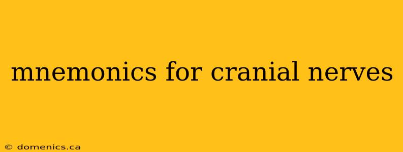 mnemonics for cranial nerves