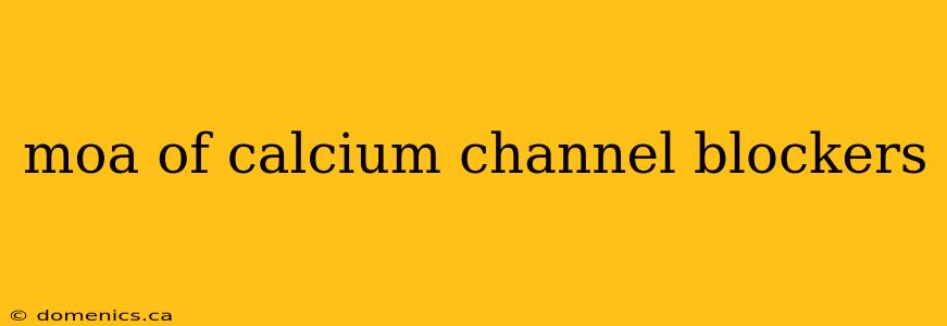 moa of calcium channel blockers