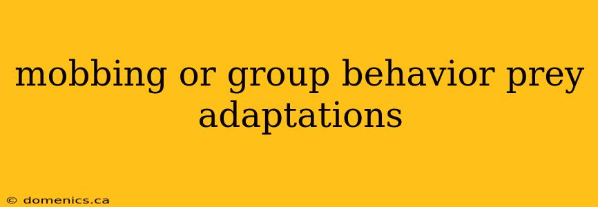 mobbing or group behavior prey adaptations