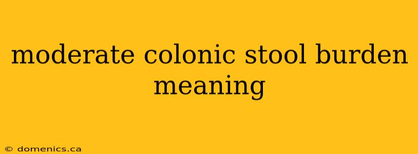 moderate colonic stool burden meaning