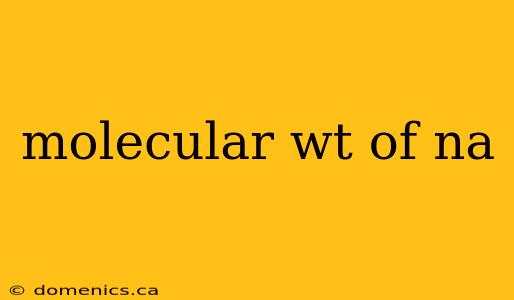 molecular wt of na