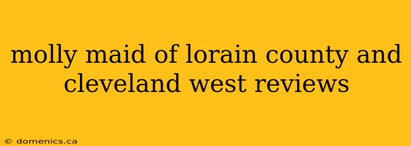 molly maid of lorain county and cleveland west reviews