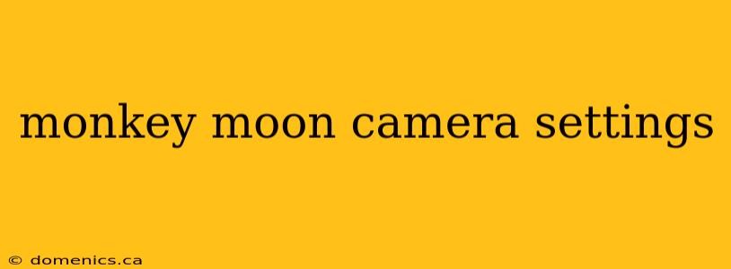 monkey moon camera settings