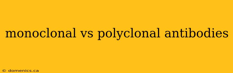 monoclonal vs polyclonal antibodies