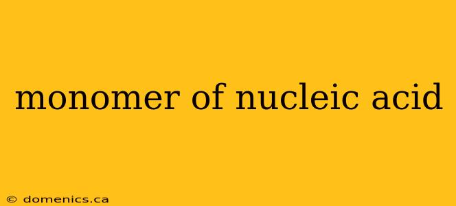 monomer of nucleic acid