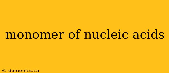 monomer of nucleic acids