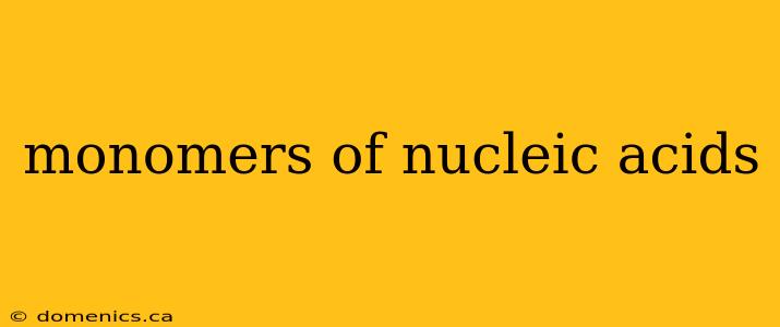 monomers of nucleic acids