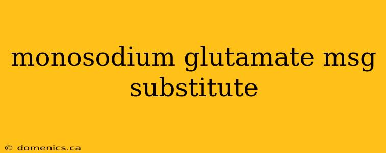 monosodium glutamate msg substitute