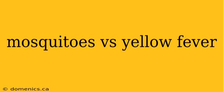 mosquitoes vs yellow fever