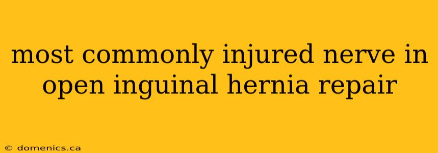 most commonly injured nerve in open inguinal hernia repair