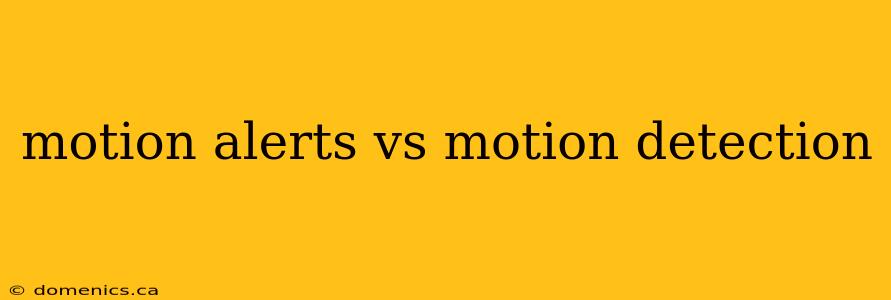 motion alerts vs motion detection