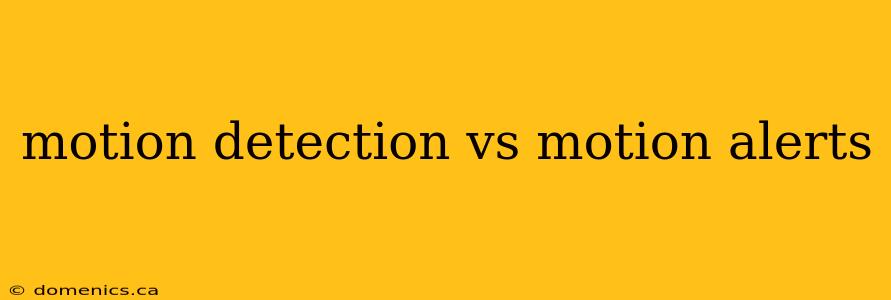 motion detection vs motion alerts