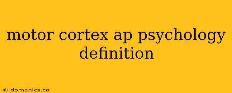 motor cortex ap psychology definition