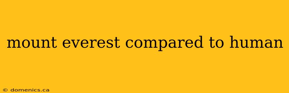 mount everest compared to human