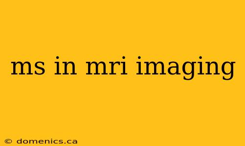 ms in mri imaging