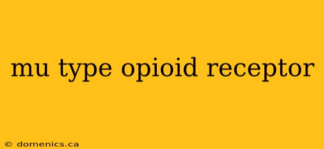 mu type opioid receptor