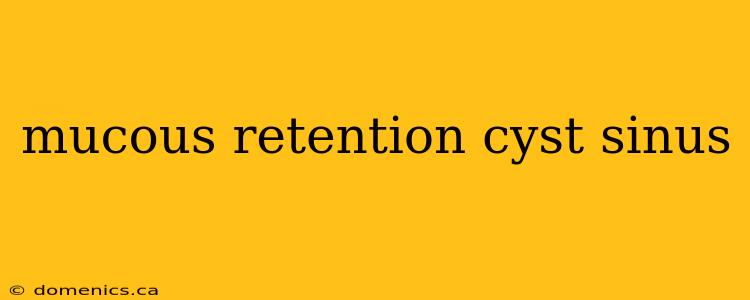 mucous retention cyst sinus