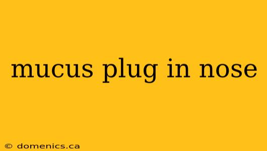 mucus plug in nose