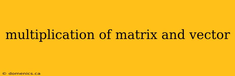 multiplication of matrix and vector