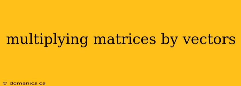 multiplying matrices by vectors