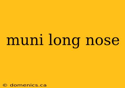 muni long nose