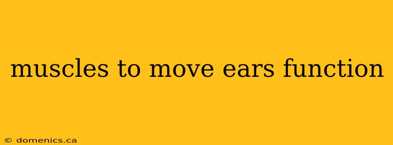 muscles to move ears function