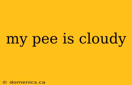 my pee is cloudy