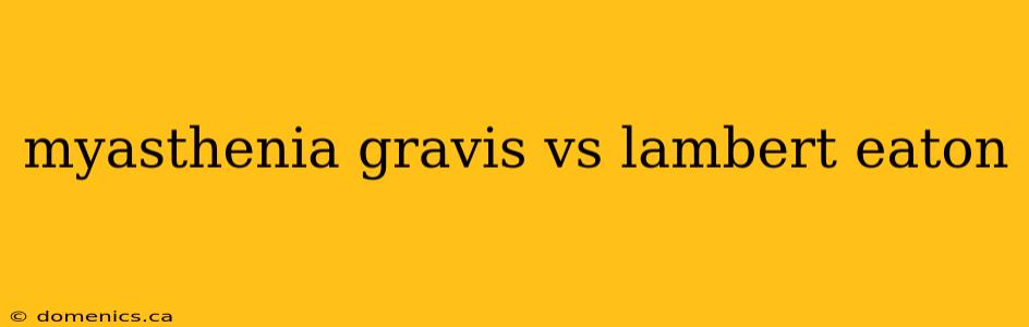 myasthenia gravis vs lambert eaton