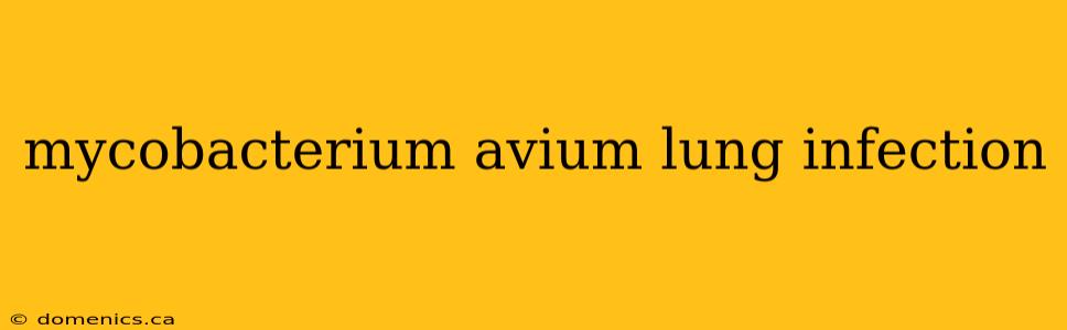 mycobacterium avium lung infection