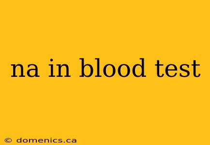 na in blood test