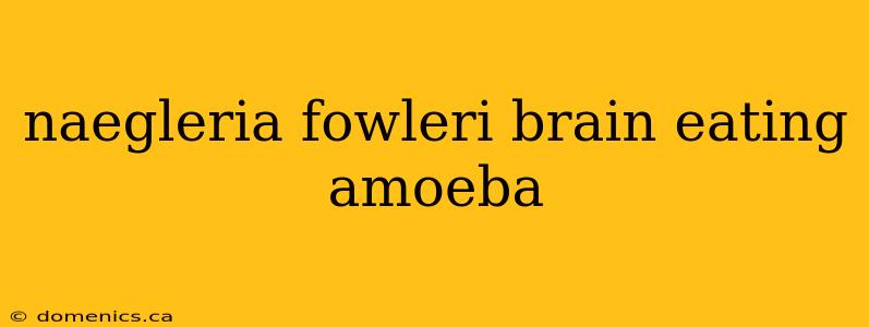 naegleria fowleri brain eating amoeba