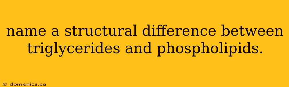 name a structural difference between triglycerides and phospholipids.