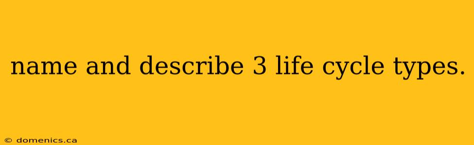 name and describe 3 life cycle types.