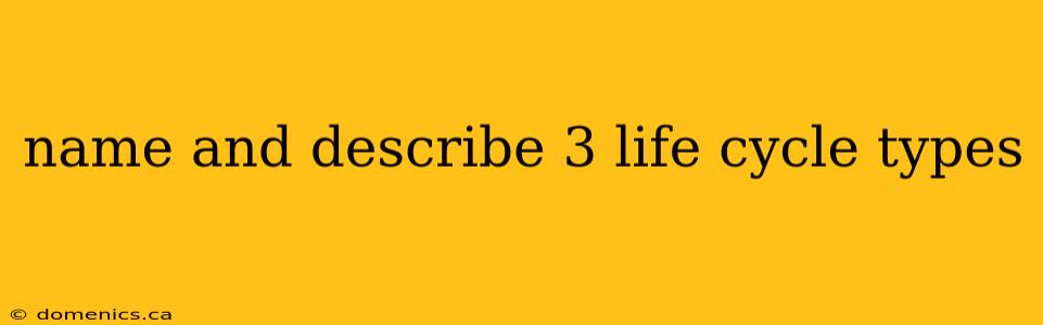 name and describe 3 life cycle types