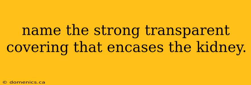 name the strong transparent covering that encases the kidney.