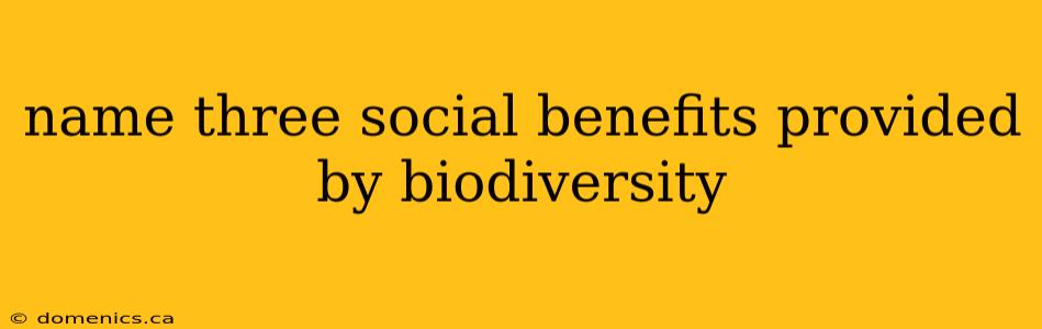 name three social benefits provided by biodiversity