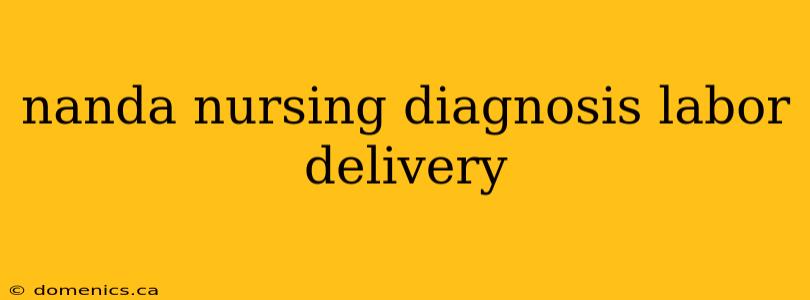 nanda nursing diagnosis labor delivery