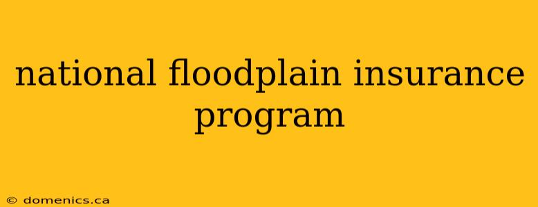 national floodplain insurance program