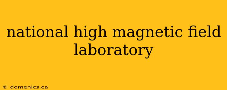 national high magnetic field laboratory