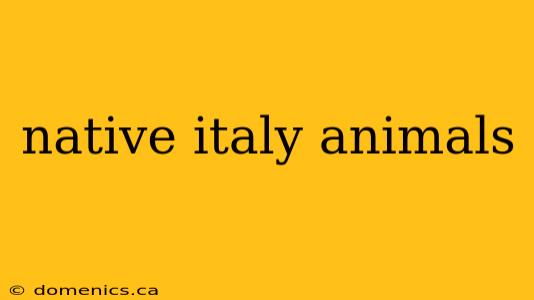 native italy animals