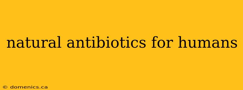 natural antibiotics for humans