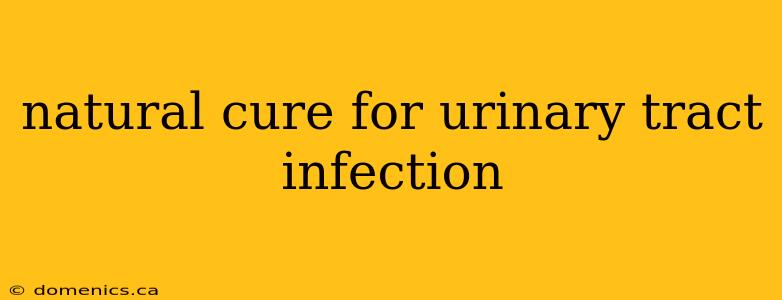 natural cure for urinary tract infection