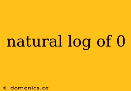 natural log of 0