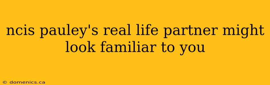 ncis pauley's real life partner might look familiar to you