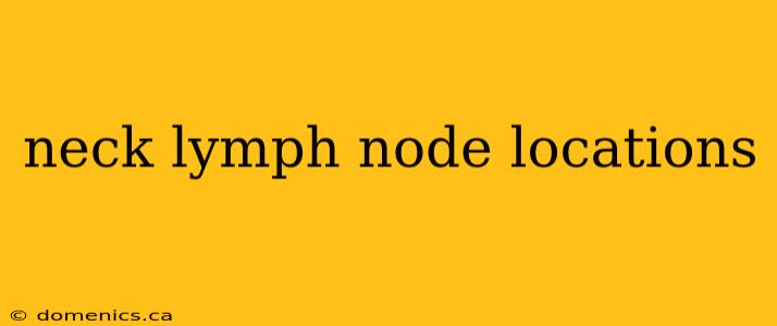 neck lymph node locations