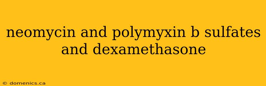 neomycin and polymyxin b sulfates and dexamethasone