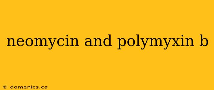 neomycin and polymyxin b