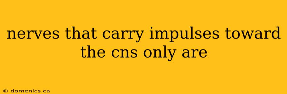 nerves that carry impulses toward the cns only are